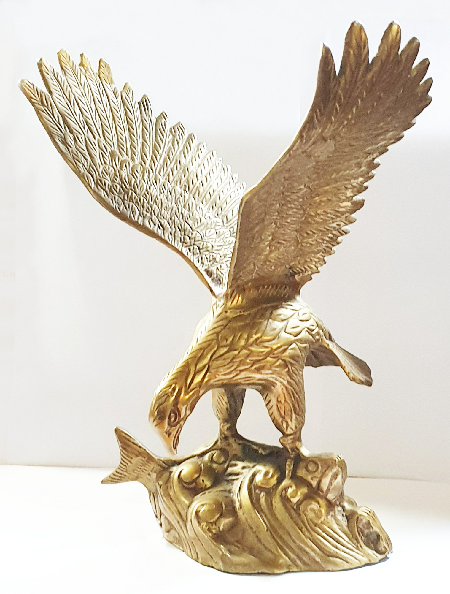 Bird of Prey Fishing (image for) Bird of Prey Fishing